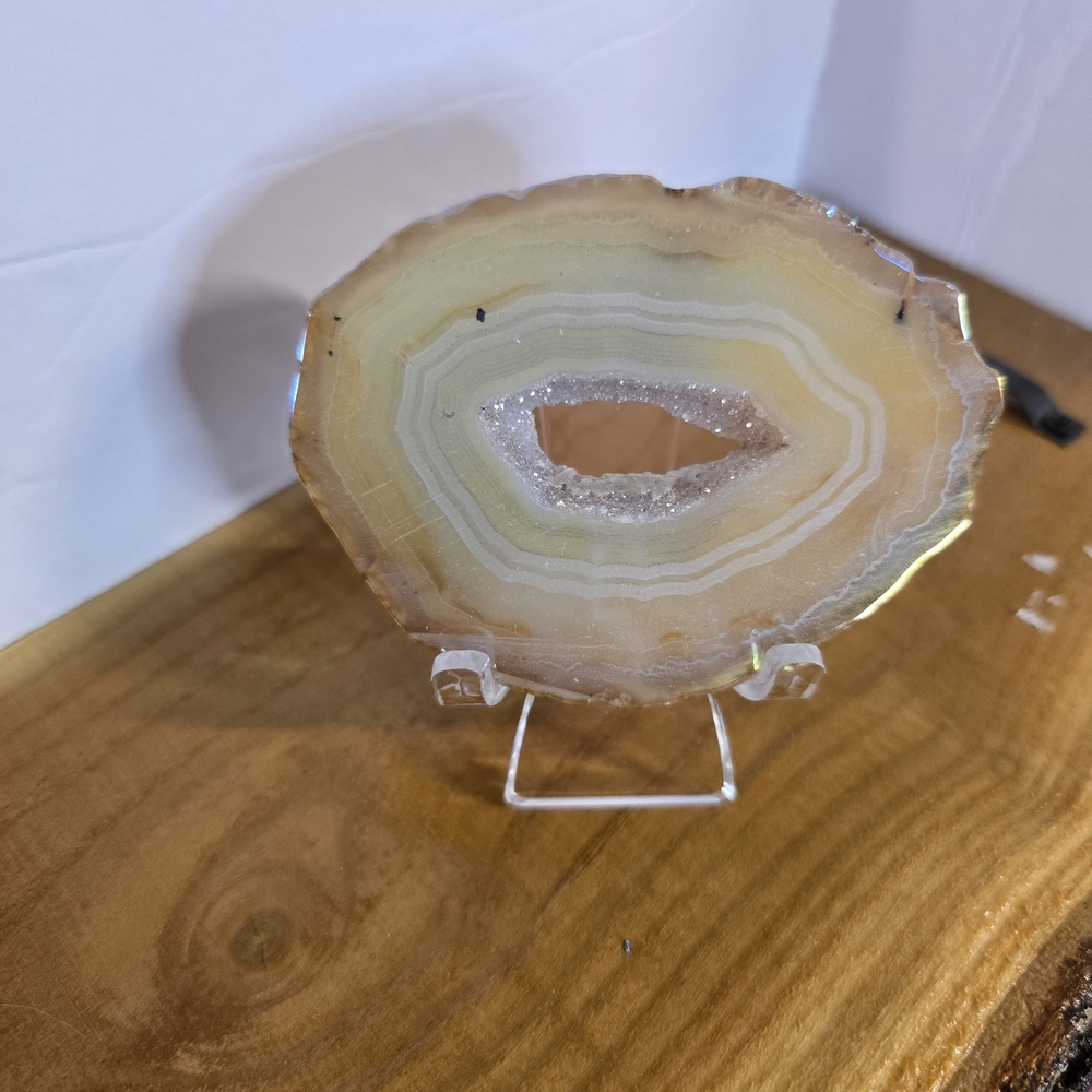 Natural Agate Geode Slice ✨ Druzy Crystal Center Display Piece